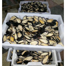 Frozen half mussels blue mussel shells with meat high quality